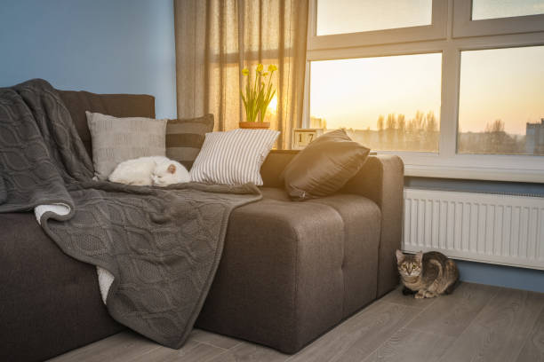 istock Cozy family room with brown couch 1026831336