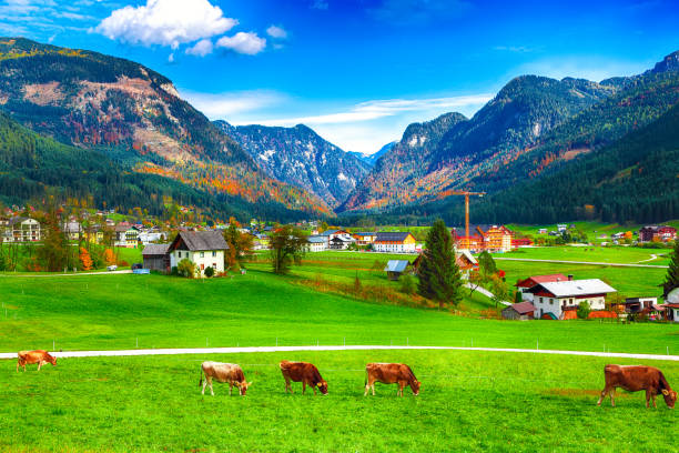 istock Mountains over Gosau village with Catholic Church under Sunlight 1026843664