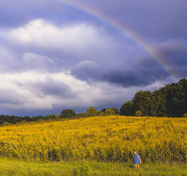 Somwhere Over the rainbow... Adorable little girl in a blue dress and red boots in a vast nature field meadow area with a stunning rainbow in the sky. She is headed for adventure or maybe to find home? homeward stock pictures, royalty-free photos & images