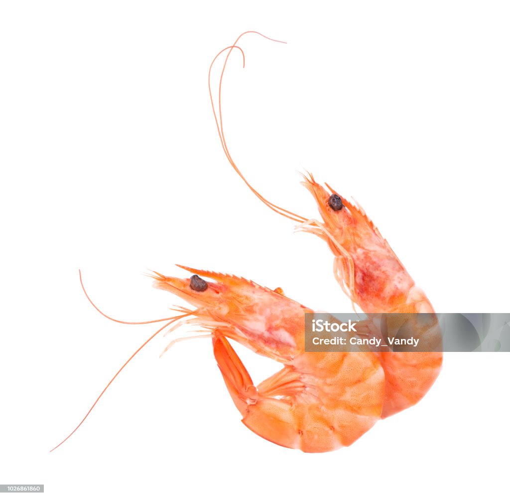 Hai Con Tôm Nấu Chín Đỏ Hoặc Tôm Sú Được Phân Lập Trên Nền Trắng ...