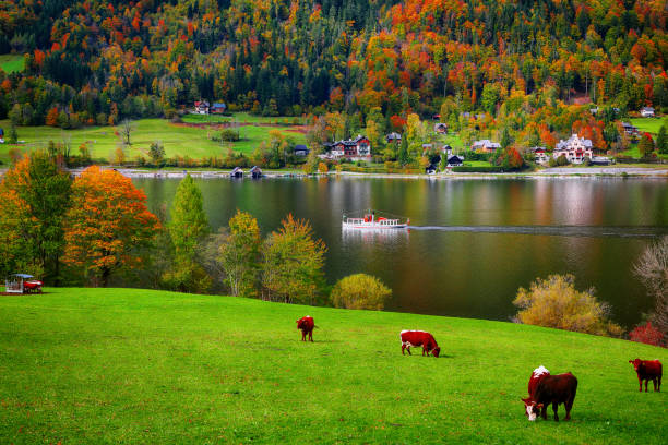 Idyllic autumn scene in Grundlsee lake. Alpine meadows at autumn. Location: resort Grundlsee, Liezen District of Styria, Austria, Alps. Europe.