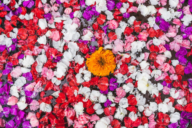 istock Colorful flower background in bath in traditional balinese spa 1026870954