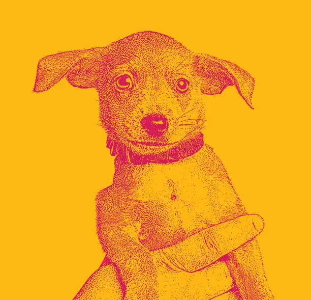 Vector illustration of Chihuahua Terrier mixed breed puppy dog in an animal shelter hoping to be adopted. 6 weeks old.