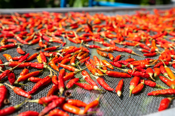 istock Sunny chillies on the grill 1026884206