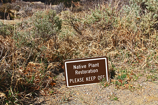 Native plant restoration in progress, please keep off, sign in Black Canyon of the Gunnison National Park and recreation area at Chasm View, near Montrose, Colorado, USA.