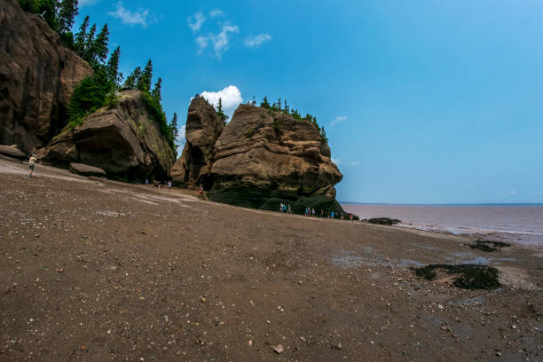 istock Hopewell Rocks New Brunswick Canada at Low Tide 1026906950