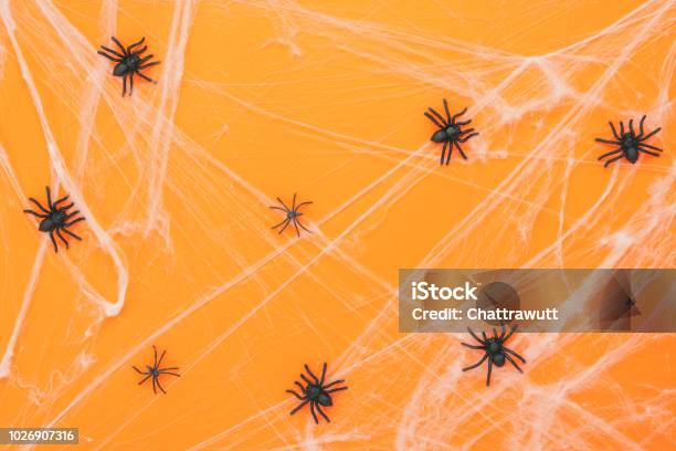 Table Top View Aerial Image Of Decoration Happy Halloween Day Background Conceptflat Lay Accessories Essential Object The Rubber Black Spider And White Cobweb On Modern Rustic Orange Paper Stock Photo - Download Image Now