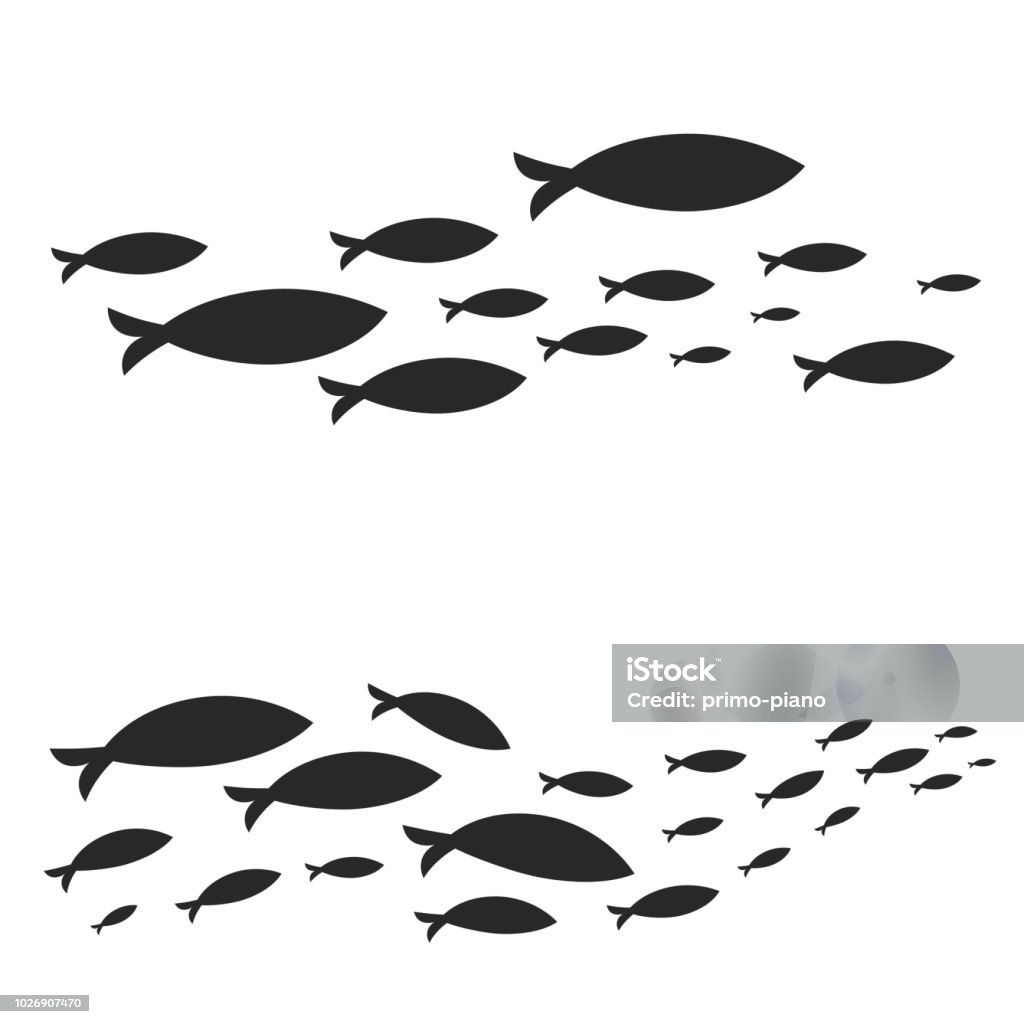 Swimming cluster of graphic fish Different vector sets of fish shoals swimming isolated on white background Fish stock vector