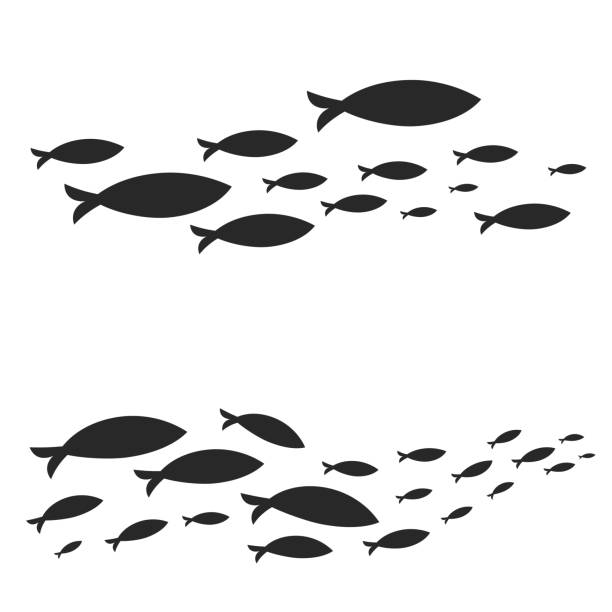 Swimming cluster of graphic fish Different vector sets of fish shoals swimming isolated on white background fish silhouettes stock illustrations