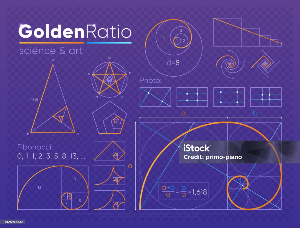 Set of golden ratio element Vector set of various figures and shapes in law of golden ratio composed on purple transparent background Fibonacci Pattern stock vector