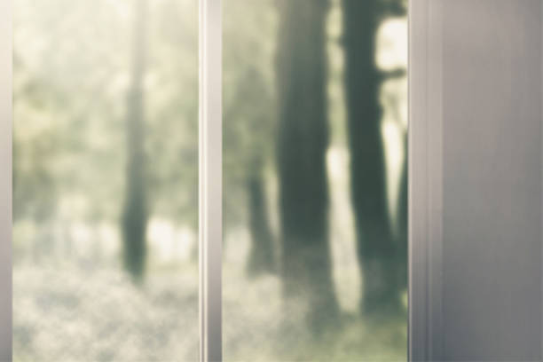 istock Window glass on abandoned house 1026915102