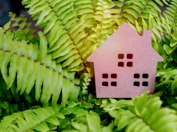 istock Wooden house 1026931156