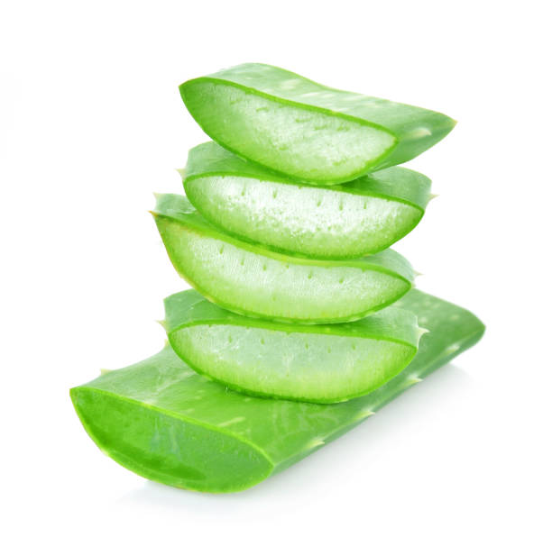 istock Aloe vera fresh leaf on white background 1026936858