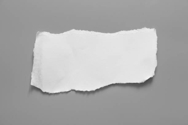 istock white torn paper on gray background. collection paper rip 1026963614