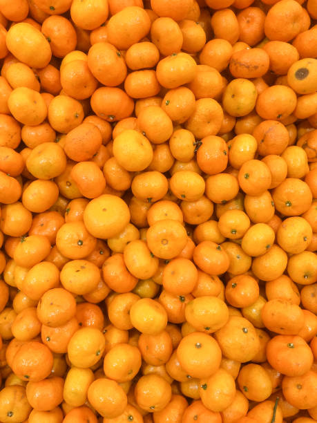 istock Orange fruit background and wallpaper. 1026979036