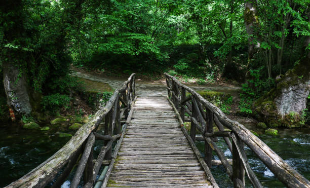 istock Wooden bridge in park 1026982708