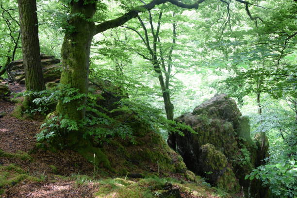 istock Rock at Marienstatt , Westerwald, Germany 1026985866