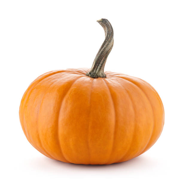 istock Orange halloween pumpkin isolated on white 1026999152
