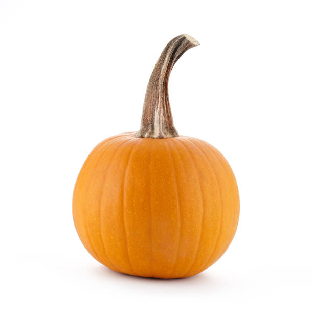 istock Orange halloween pumpkin isolated on white 1026999192