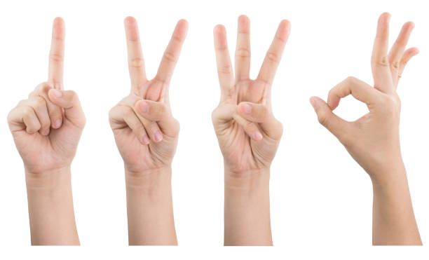 istock Female hand show gestures 1 2 3 OK isolated on white background. 1026999410