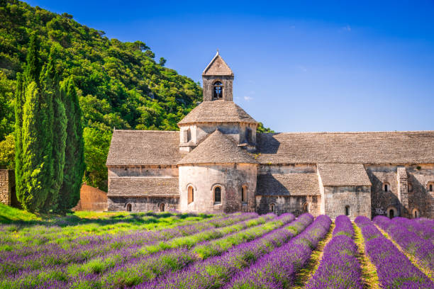 abbaye de lavanda de senanque, provence en francia - senanque fotografías e imágenes de stock
