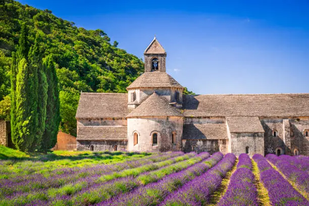 Abbaye de Senanque, Provence. Lavender field with monastery Notre-Dame, Vaucluse region of France