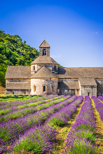 Abbaye de Senanque, Provence. Lavender field with monastery Notre-Dame, Vaucluse region of France