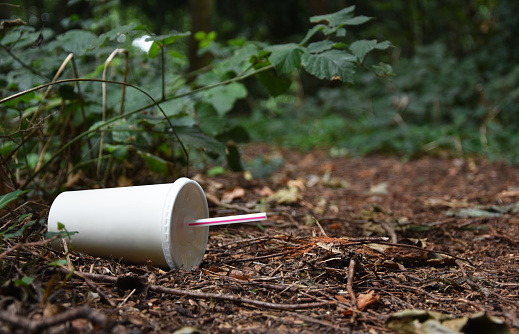 A discarded drink or soda container with plastic straw lies at the edge of a forest track