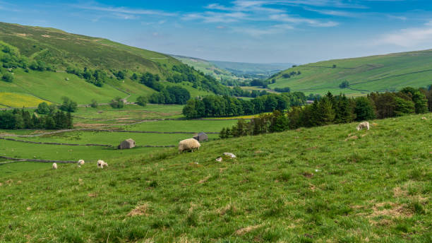 istock Halton Gill, North Yorkshire, England, UK 1027019416