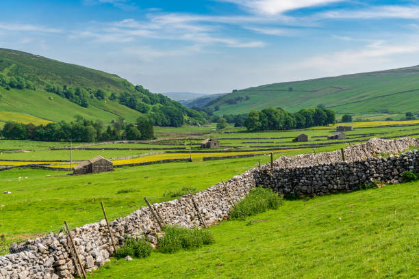istock Halton Gill, North Yorkshire, England, UK 1027019426