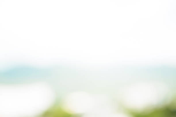 istock Abstract simple clean natural blur white green bokeh background 1027019584