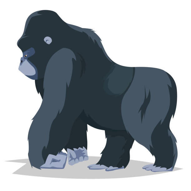 kuvapankkikuvitukset aiheesta gorilla kävelee sivunäkymä - gorilla