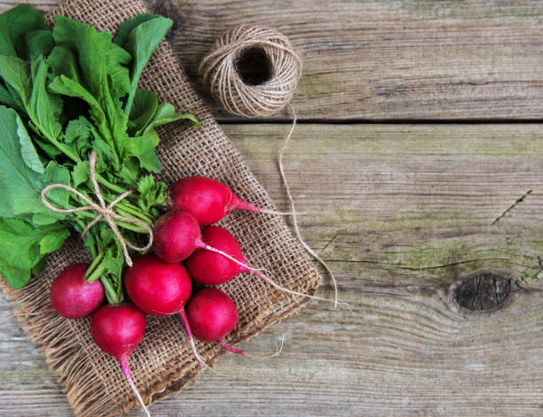 istock Fresh purple radish 1027026806