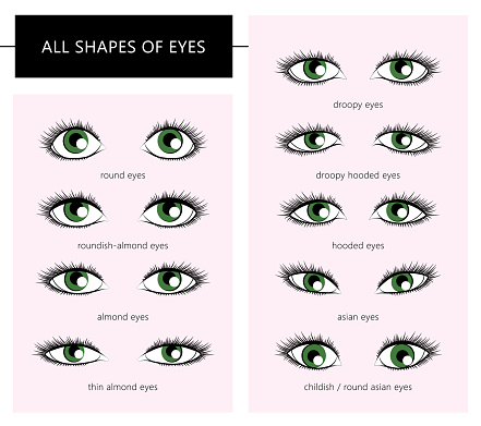 Set of different types of eyes for use as design aids. All shapes of eyes. Forms of woman eyes. Vector illustration. Stylish make up. Vogue beauty article, magazine, book. Vector set.