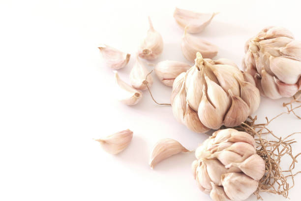 istock Fresh garlic and cloves on white background with copy space. 1027030518