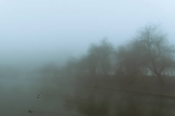 istock Fog over the Ljubljanica river 1027044996