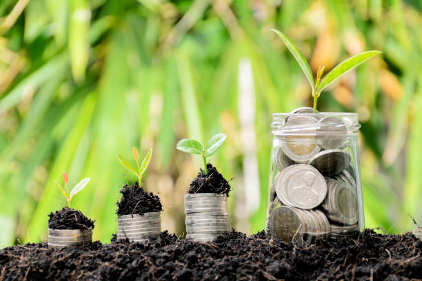 istock There are a dozen glasses with full coin above the tree is growing. 1027052700