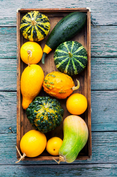istock Autumn still life with pumpkins 1027056620