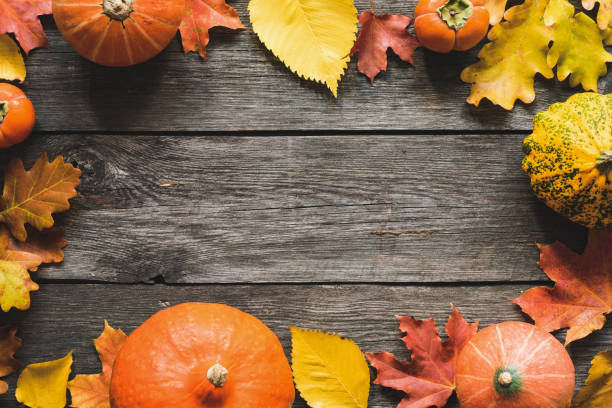 가 배경 타락 한 단풍나무 잎 호박 프레임 - chestnut pumpkin leaf autumn 뉴스 사진 이미지