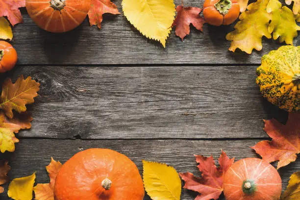 Photo of Autumn Background Fallen Maple Leaf Pumpkins Frame