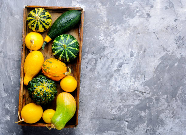 istock Autumn still life with pumpkins 1027056756