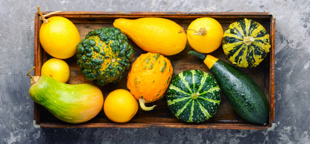istock Autumn still life with pumpkins 1027056812