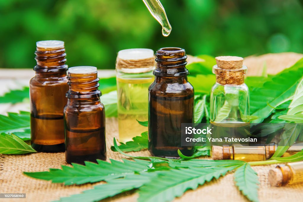 Cannabis herb and leaves for treatment broth, tincture, extract, oil. Selective focus. Cannabis herb and leaves for treatment broth, tincture, extract, oil. Selective focus. nature Cannabis - Narcotic Stock Photo