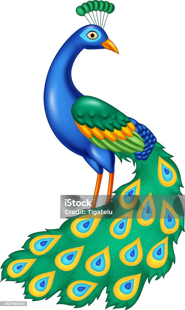 Ilustración de Dibujos Animados Pavo Real Hermoso y más Vectores Libres de Derechos de Pavo real - Pavo real, Mascota famosa, Ala de animal - iStock Ilustración de Dibujos Animados Pavo Real Hermoso y más Vectores Libres de Derechos de Pavo real - Pavo real, Mascota famosa, Ala de animal - iStock