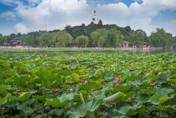 istock Beihai Park is an imperial garden 1027064096
