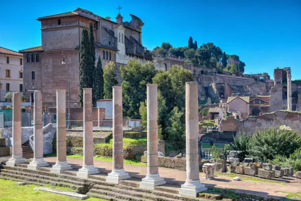 Roman Forum, Rome, Templum Pacis, Temple of peace, Columns