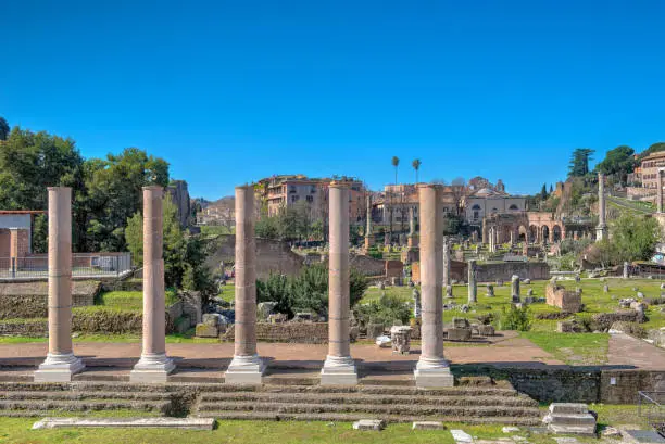 Roman Forum, Rome, Templum Pacis, Temple of peace, Columns - front view