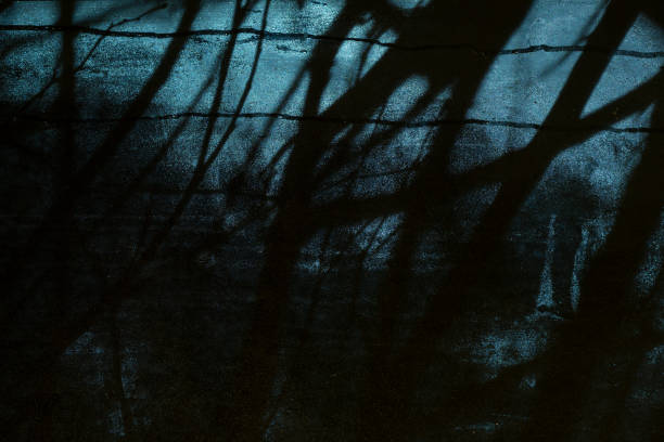 istock Scary silhouettes outside the window. Dark night 1027069638