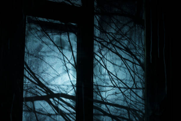 Background for Halloween party design. Silhouetted tree branches outside the window. Gloomy and scary view from the room