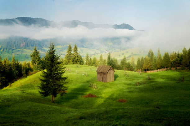 istock Sunrise in Bukovina 1027078572
